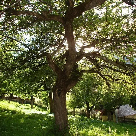 Biohof Maurachgut Bad Hofgastein