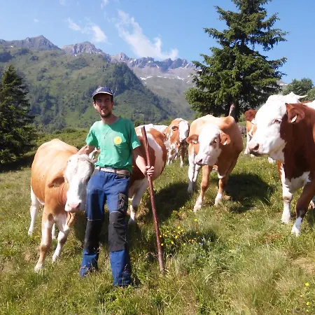 Biohof Maurachgut Alojamento de Turismo Rural *