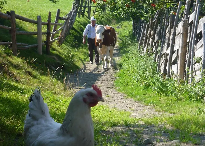 Biohof Maurachgut Фермерский дом *