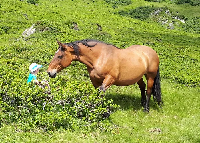 Фермерский дом Biohof Maurachgut *