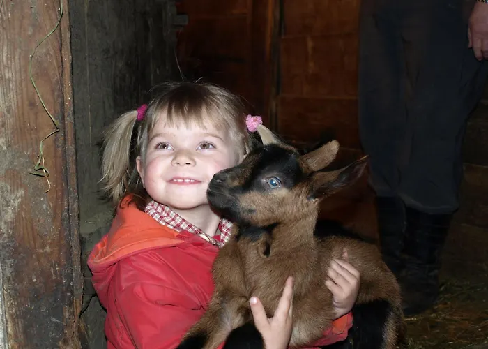 Фермерский дом Biohof Maurachgut *